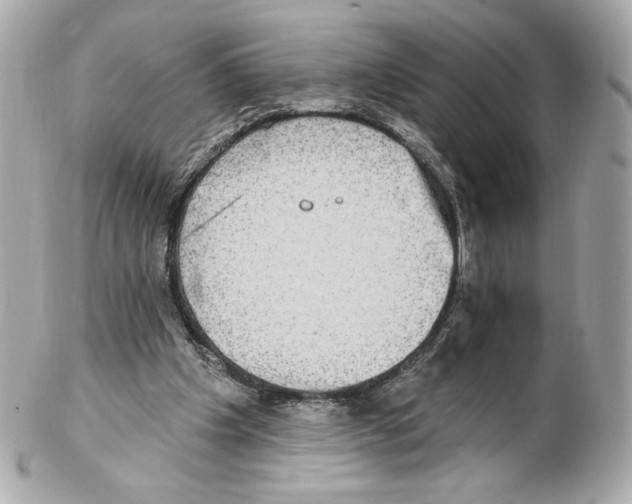 X0000102410201200808291515