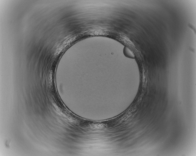 X0000102410202200808291515