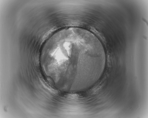 X0000102410203200808291515