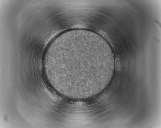 X0000102410204200808291515