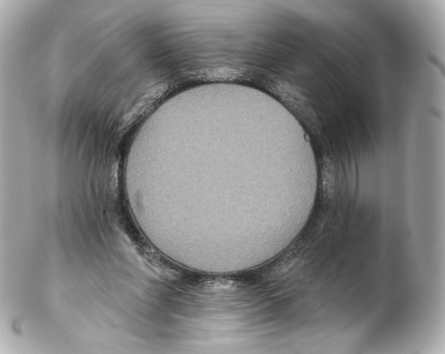 X0000102410206200808291515