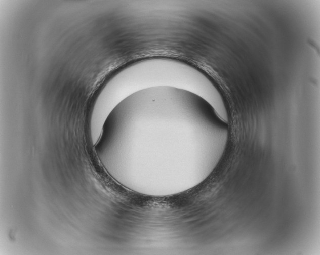 X0000102410207200808291515