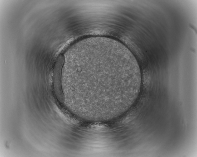 X0000102410208200808291515