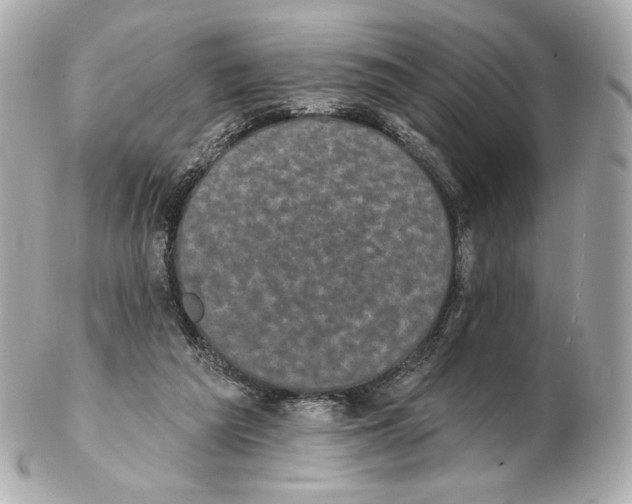 X0000102410209200808291515