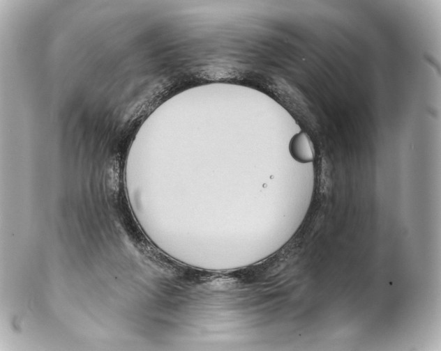 X0000102410210200808291515