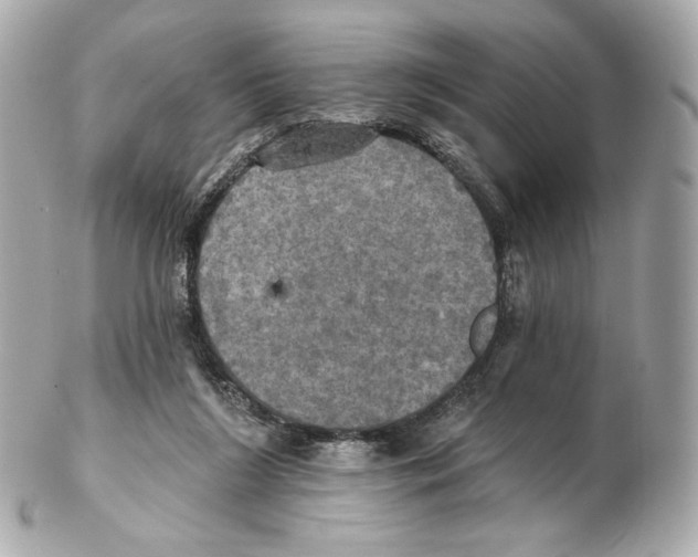 X0000102410212200808291515