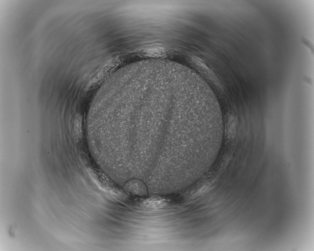 X0000102410213200808291515