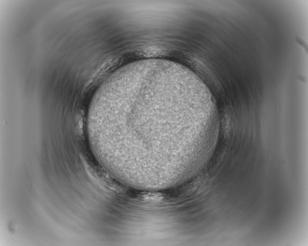 X0000102410214200808291515