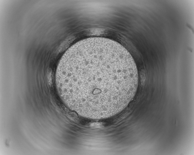 X0000102410216200808291515