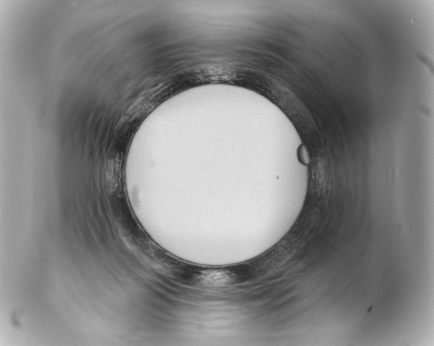 X0000102410218200808291515