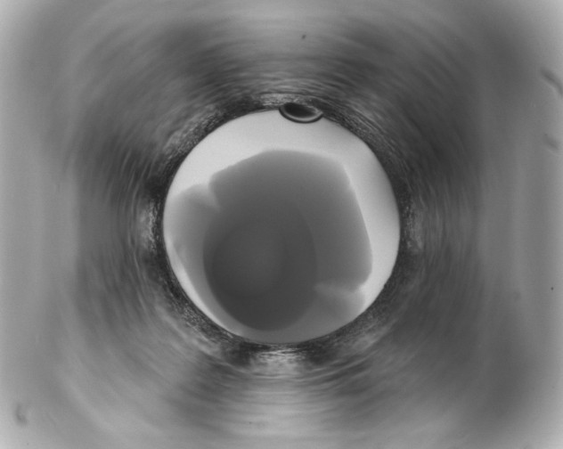 X0000102410219200808291515