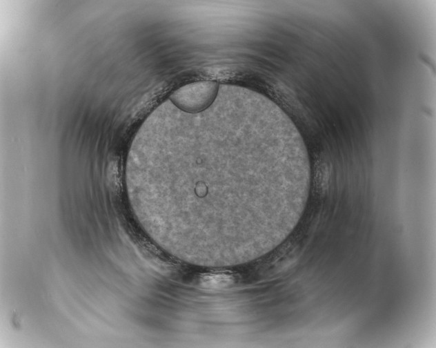 X0000102410220200808291515