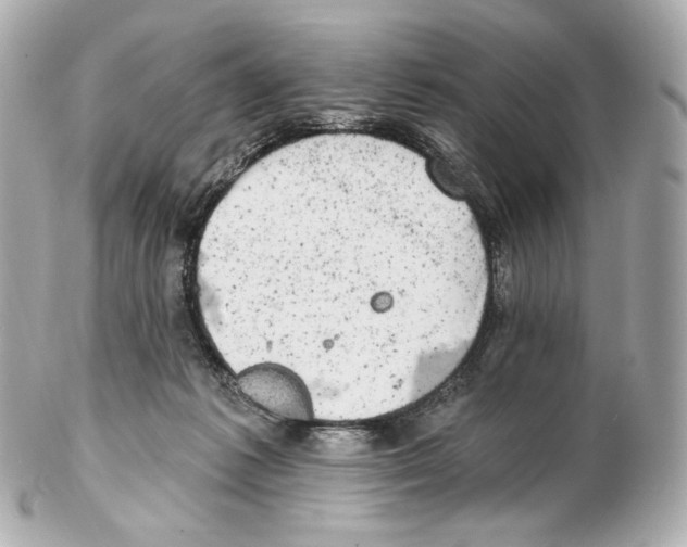 X0000102410221200808291515