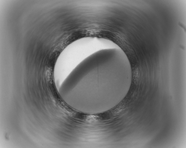 X0000102410222200808291515