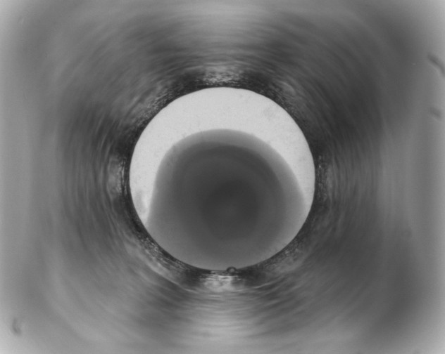 X0000102410227200808291515