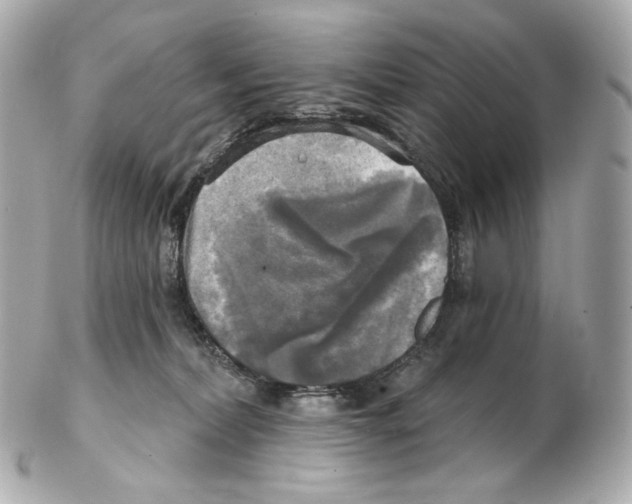 X0000102410228200808291515