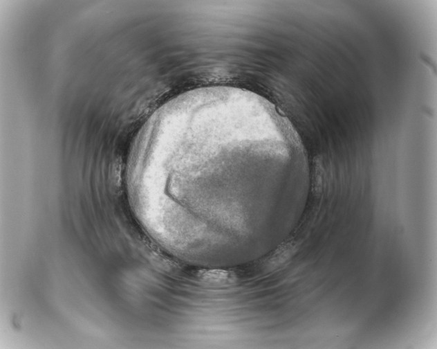 X0000102410230200808291515