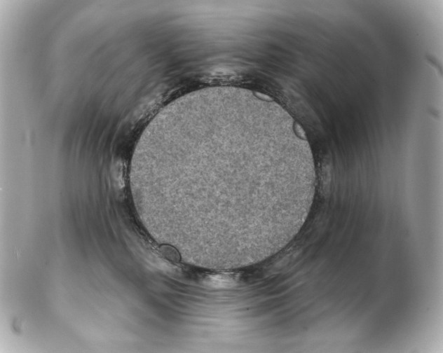 X0000102410232200808291515