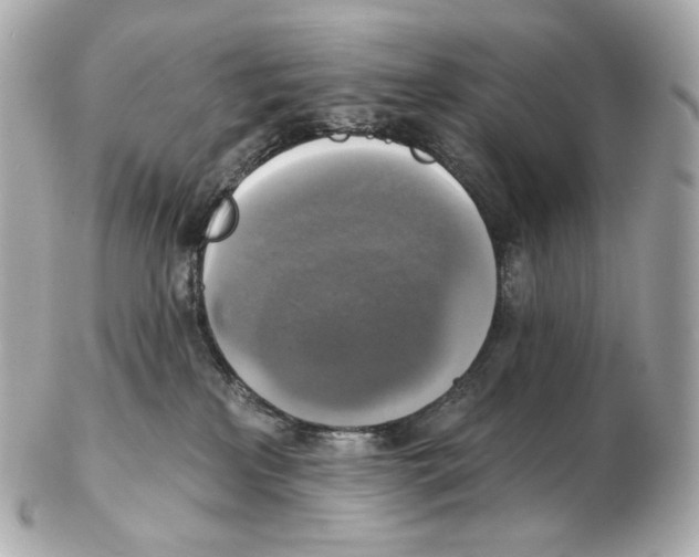 X0000102410233200808291515