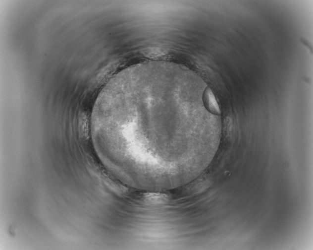 X0000102410234200808291515