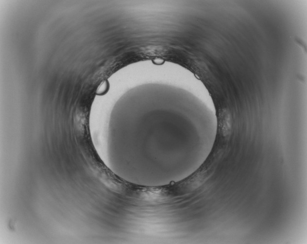 X0000102410235200808291515