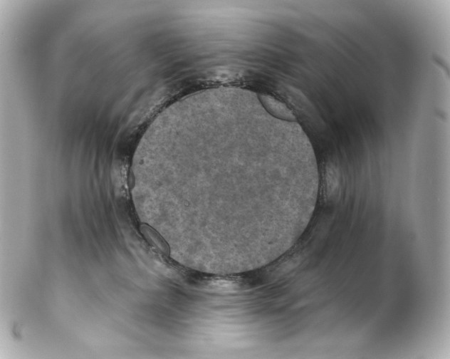 X0000102410236200808291515