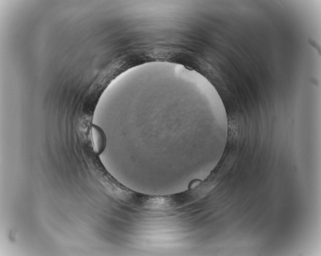 X0000102410237200808291515