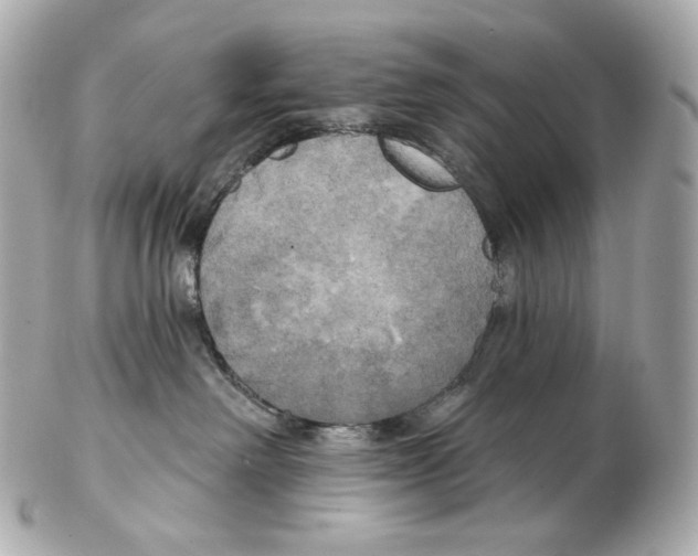 X0000102410238200808291515