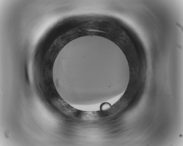 X0000102410239200808291515