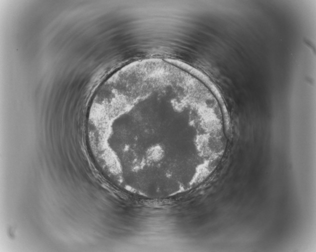 X0000102410241200808291514