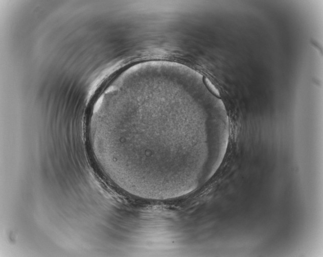 X0000102410244200808291514