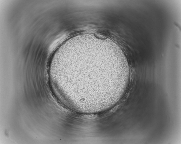 X0000102410245200808291514