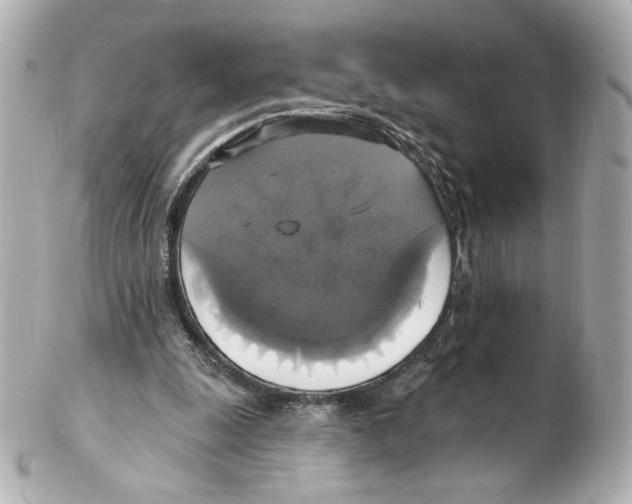 X0000102410247200808291514