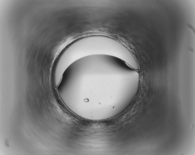 X0000102410248200808291514