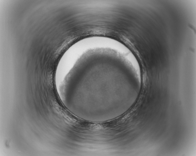 X0000102410249200808291514