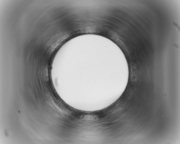 X0000102410251200808291514