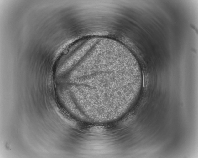 X0000102410252200808291514