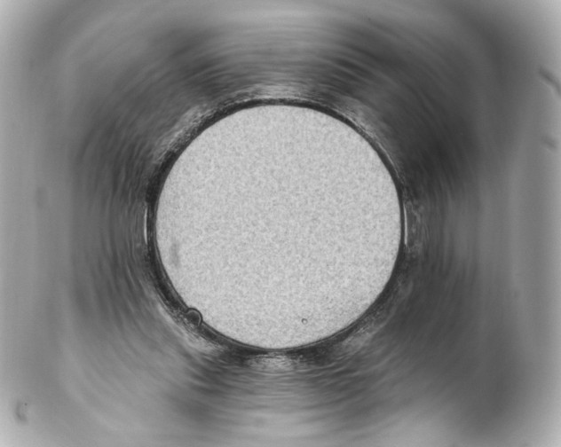 X0000102410253200808291514