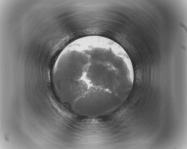 X0000102410254200808291514