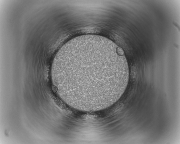 X0000102410255200808291514