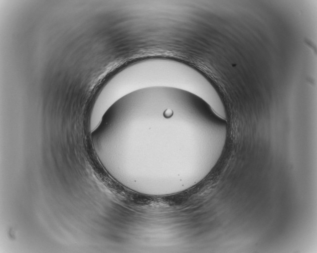 X0000102410256200808291514