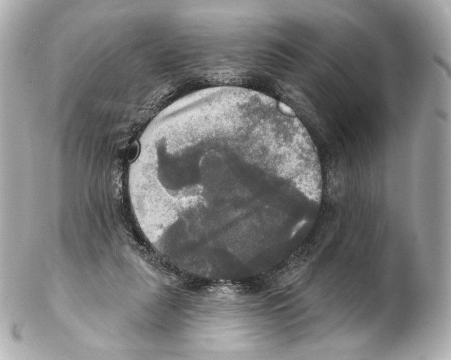 X0000102410259200808291514