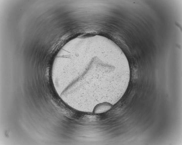 X0000102410260200808291514