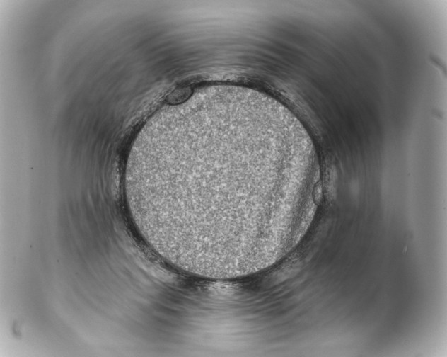 X0000102410261200808291514