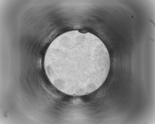 X0000102410262200808291514