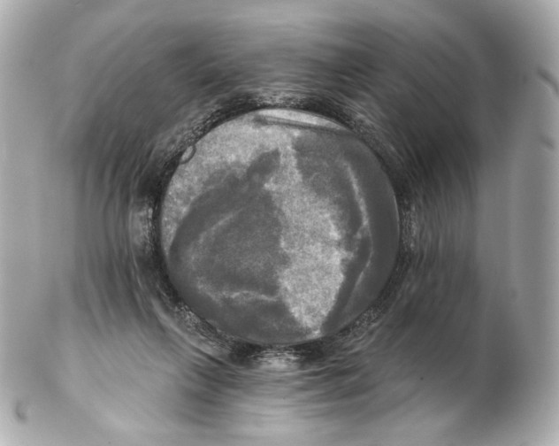 X0000102410263200808291514