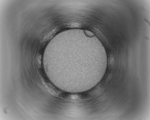 X0000102410264200808291514