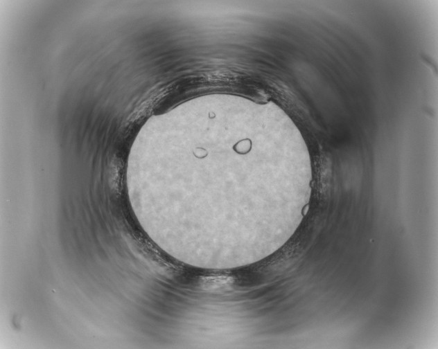 X0000102410266200808291514