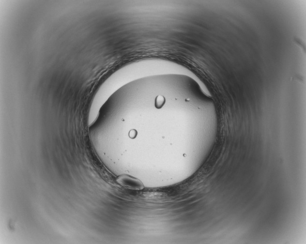 X0000102410268200808291514