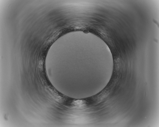 X0000102410269200808291514